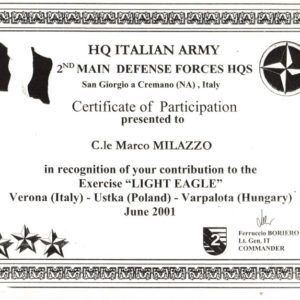 Light_Eagle