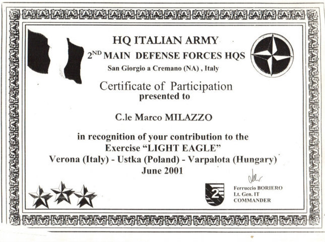 Light_Eagle